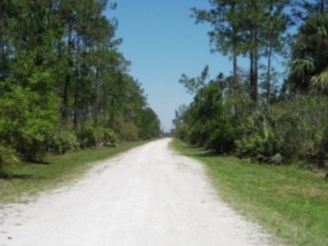 Florida eco-biking, Seminole State Forest